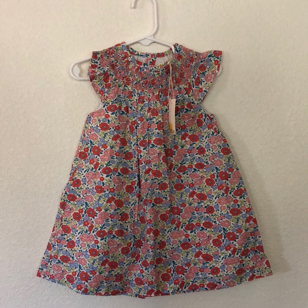 Baby Biden Dress with matching bloomers size 18-24mo